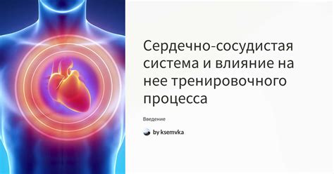 Крепкий чай и сердечно-сосудистая система: взаимосвязь и влияние