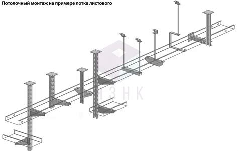 Крепление шпалер к потолку теплицы: секреты надежности и эффективности
