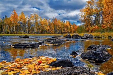 Куда отправиться осенью в поисках щуки: реки, озера, водохранилища