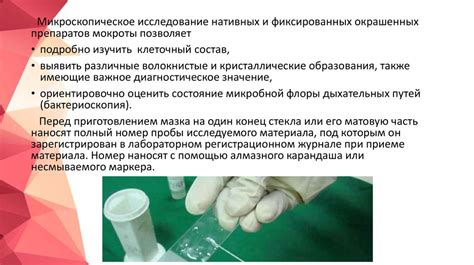 Лабораторные исследования мокроты: методика и правила сбора