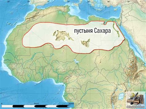 Легендарные верования о напрасных обертываниях сахара на повседневном столе