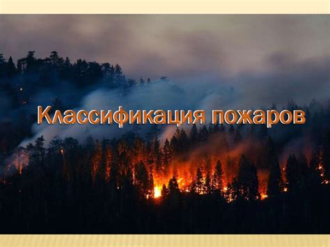 Лесные пожары: источники и последствия