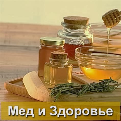 Лечебные свойства меда для кожи губ