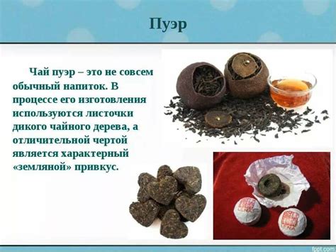 Лечебные свойства пуэра и его воздействие на организм