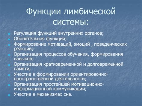 Лимбическая система: регуляция эмоциональных процессов