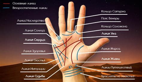 Линии на ладони и их связь с энергетическими потоками