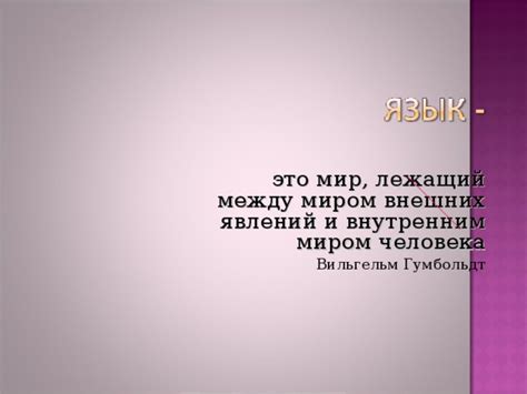 Лоб и психология: связь между внешностью и внутренним миром
