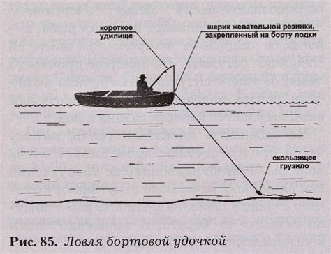 Ловля сазана с берега: особенности и приемы успешной рыбалки