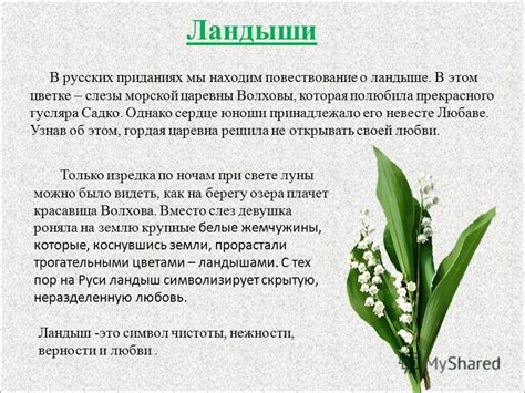 Локализация информации о этом цветке