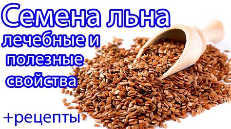 Льняные семена: важный компонент диеты для сокращения веса