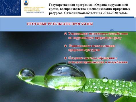 Маскировочные препятствия: использование окружающей среды в стратегии незаметного ухода