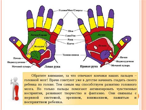 Массаж и упражнения для рук: улучшение кровообращения