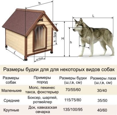 Материалы для конструкции будки: их плюсы и минусы