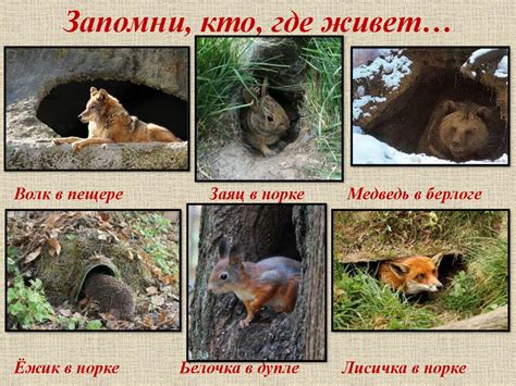 Материалы и инструменты для создания замечательного лесного жилища: полное руководство