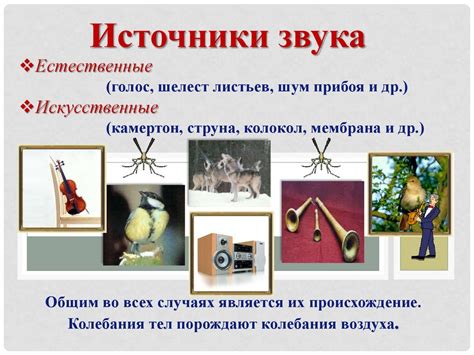 Мелодичность и звуковые особенности инструментов