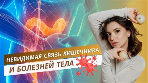 Местоположение и связь с другими органами