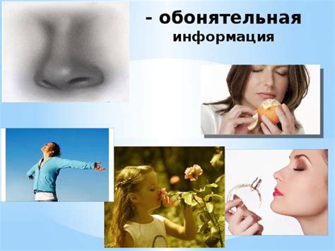 Методы, основанные на ароматах и запахах