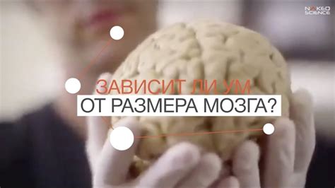 Методы воздействия на начальную стадию уменьшения размера мозга