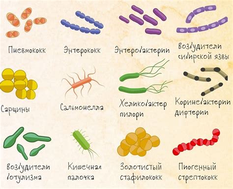 Методы диагностики наличия конкретной бактерии в организме