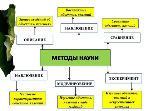 Методы изучения воздействия света на питательный экстракт растений