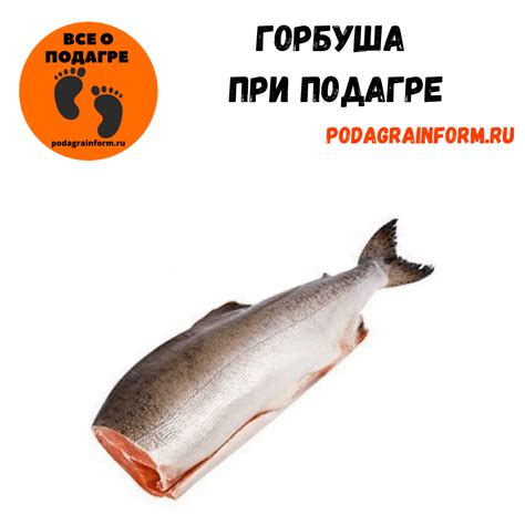 Методы определения пола горбуша при помощи уловной сети