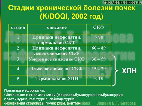 Метод Чоккокампа: инновационный подход к определению функции почек по концентрации креатинина
