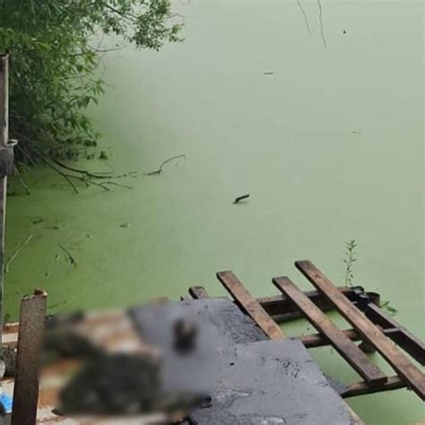 Метод визуального обнаружения изменений освещения на дне водоема
