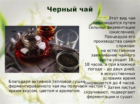 Метод ферментации: достижение максимальной кислотности экстракта с ярким вкусом в домашних условиях
