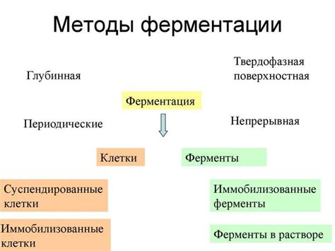 Метод 2: Применение техники ферментации для удаления легкосвариваемого белка