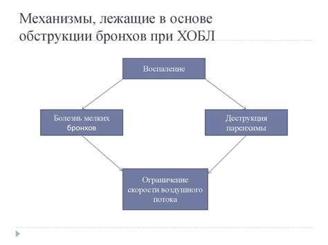 Механизмы, лежащие в основе притягательности
