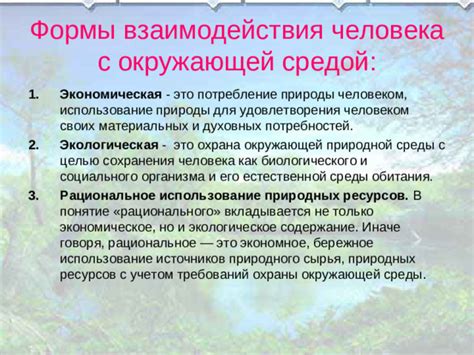 Механизмы связи языка с окружающей средой: влияние и взаимодействие