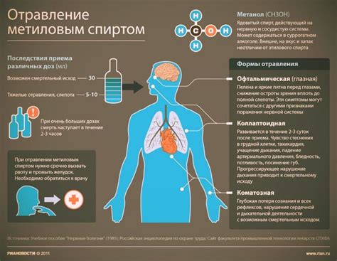 Механизм действия глицерола на организм человека