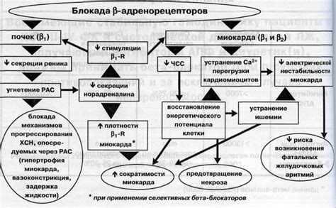 Механизм действия и показания