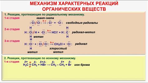 Механизм реакции рвотного отражения при полоскании горла