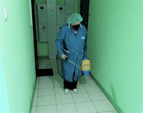 Механическая борьба с нежелательными гостями