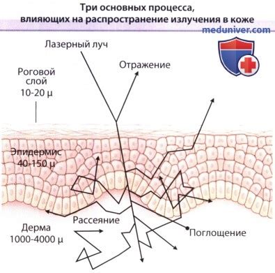 Механические воздействия на кожу