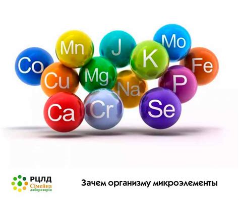 Минералы: важные компоненты для поддержания здоровья и регуляции физиологических процессов