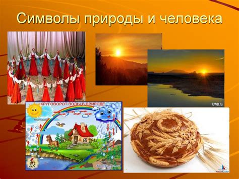Мифологическая символика картошки во снах