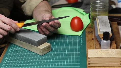 Мифы и предрассудки о кошачьих с темными ушками