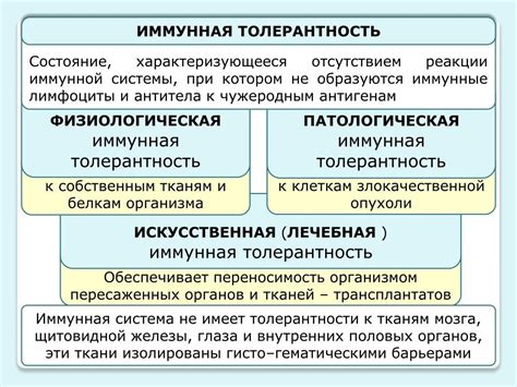 Многообразие пути к пониманию и толерантности