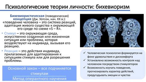 Мозг и психология личности: взаимосвязь и самоопределение