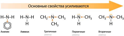 Молекулы аминов: основные структурные и химические особенности