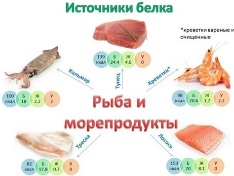 Моллюски и прочие белковые продукты - ключевые составляющие рациона морских черепах