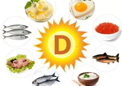 Морепродукты, обеспечивающие организм витамином-D3