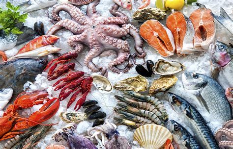 Морепродукты: источник здорья и энергии