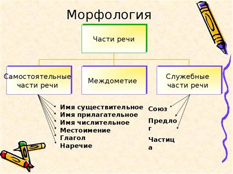 Морфология: ключевой элемент языка