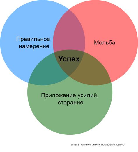 Мотивация и психологическая готовность: важные факторы успеха в тренировках