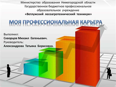 Моя профессиональная деятельность и стремления в карьере