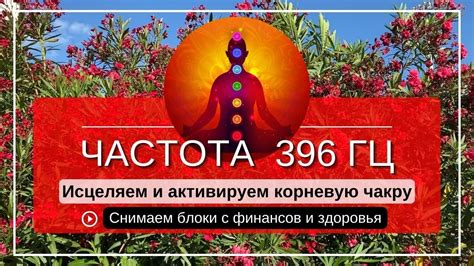 Музыкальные направления для обретения гармонии и энергии