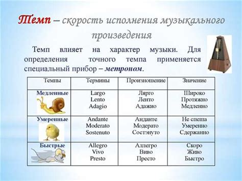 Музыкальные термины: позволяют ли они нам лучше понять произведения и насладиться музыкой